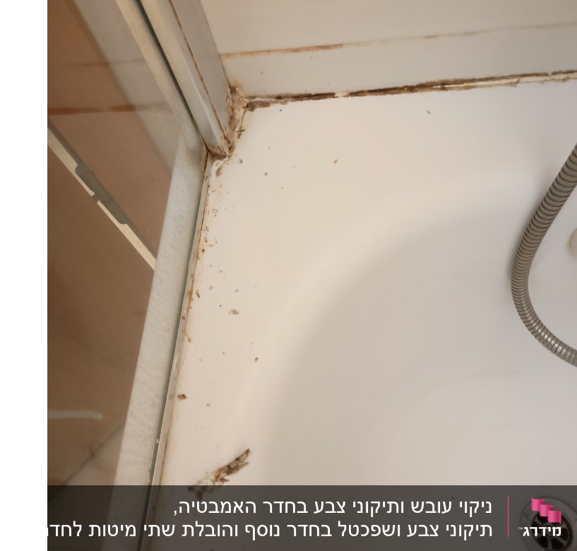 פינת אמבטיה עם עובש ולכלוך על הקירות
